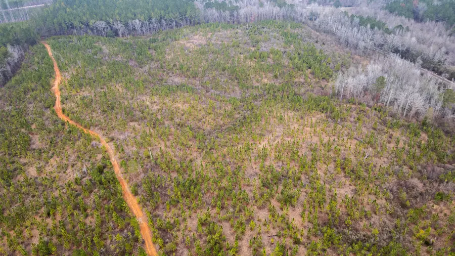 Tamola Rd, Lauderdale, MS 39335 - #3