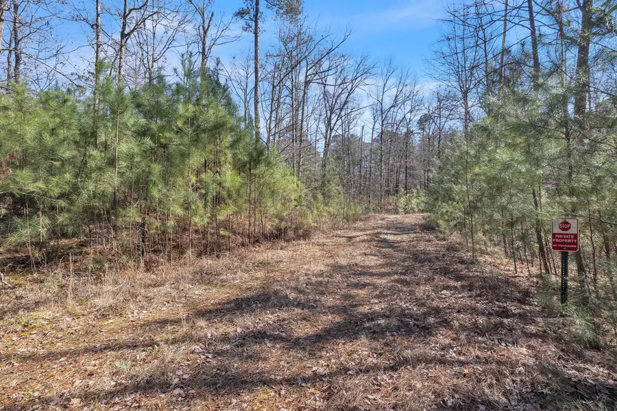 Benttree Trl, Columbus, MS 39705 - #3