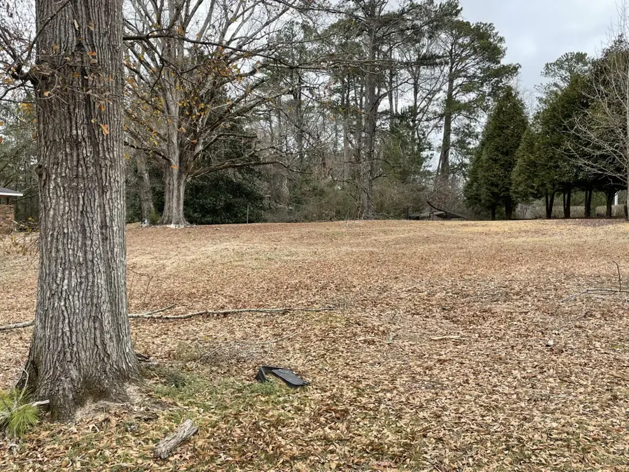 261 E Sides Ave, Ackerman, MS 39735 - #2