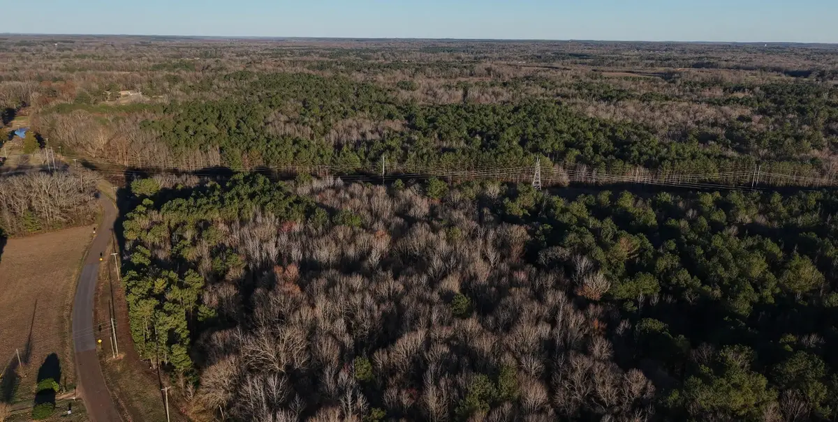 Sand Rd, Steens, MS 39766 - #1