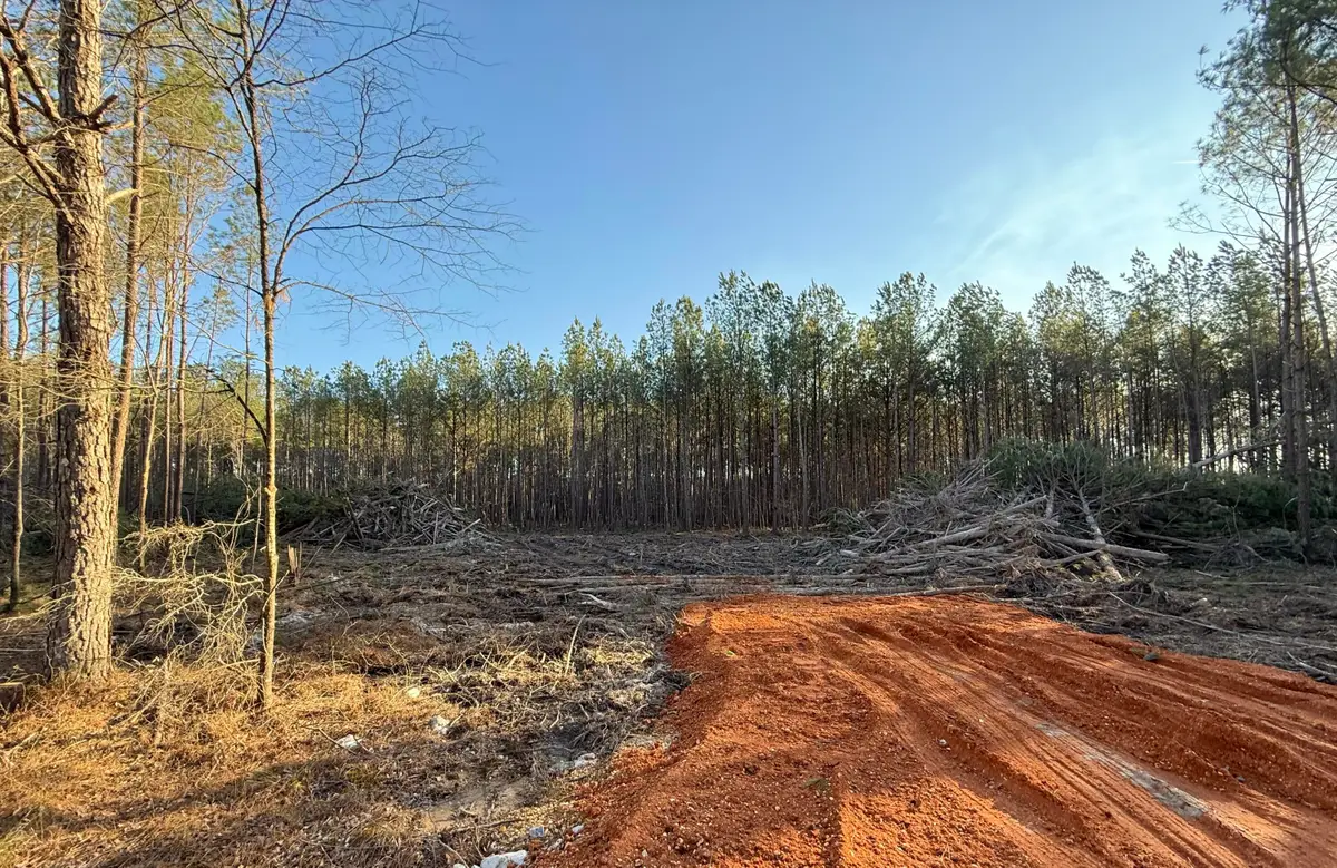 Tract #3 Mike Parra Road, Columbus, MS 39705 - #1