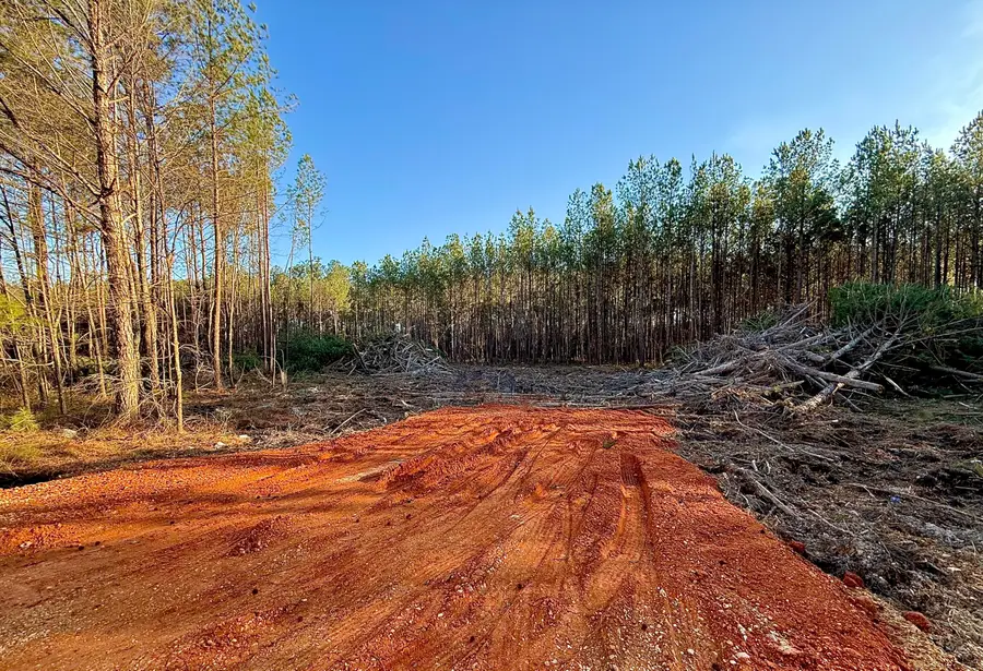 Tract #3 Mike Parra Road, Columbus, MS 39705 - #2