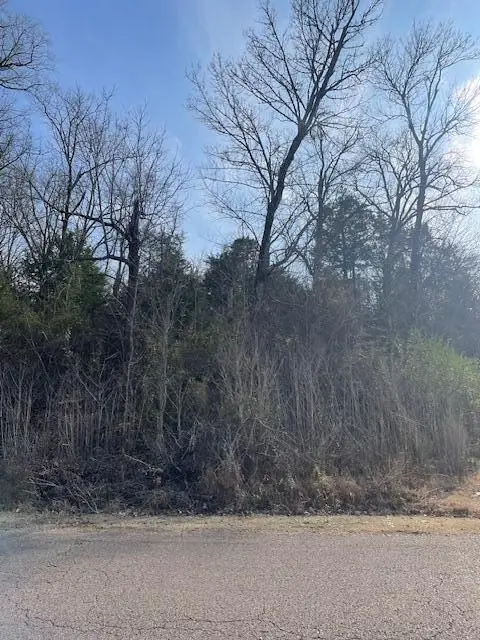 Lot 197 Durham Cove, Starkville, MS 39759 - Image #3