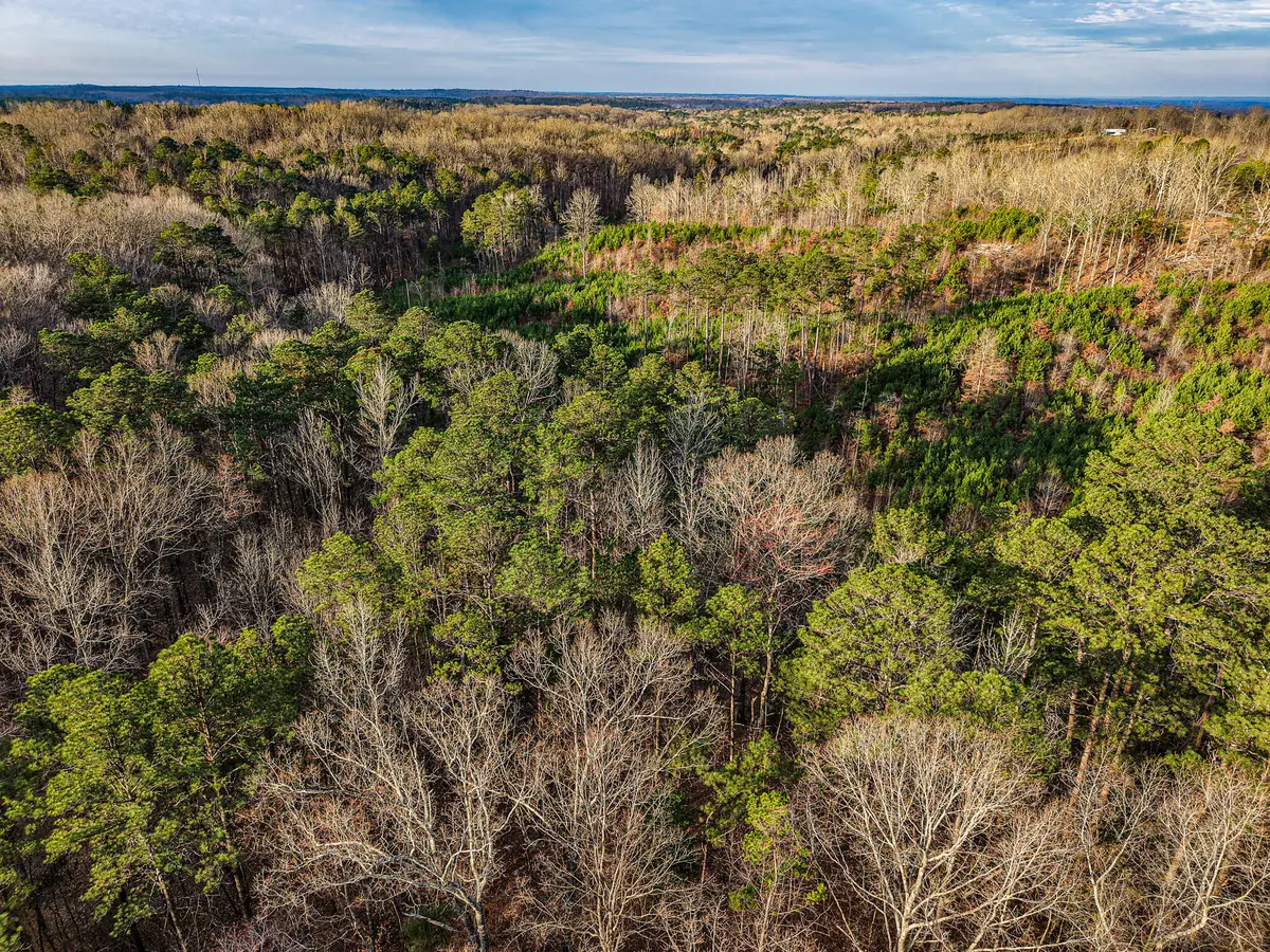 60276 State Line, Smithville, MS 38870 - #1