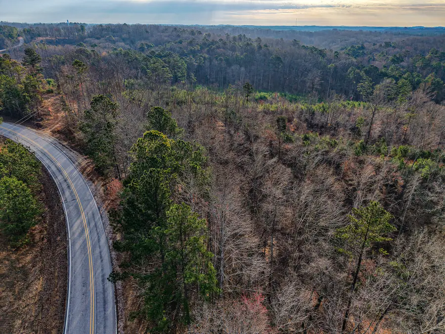 60276 State Line, Smithville, MS 38870 - #3