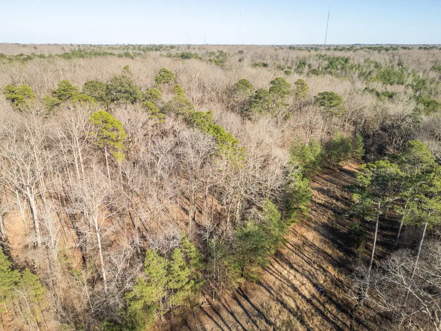 Water Oak Dr, Columbus, MS 39705 - #2