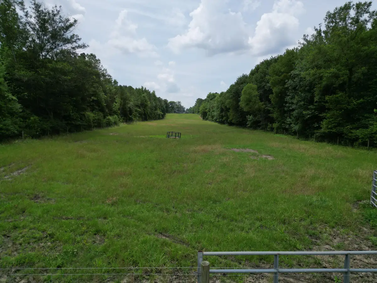 Honey Lake Rd, Macon, MS 39341 - #1