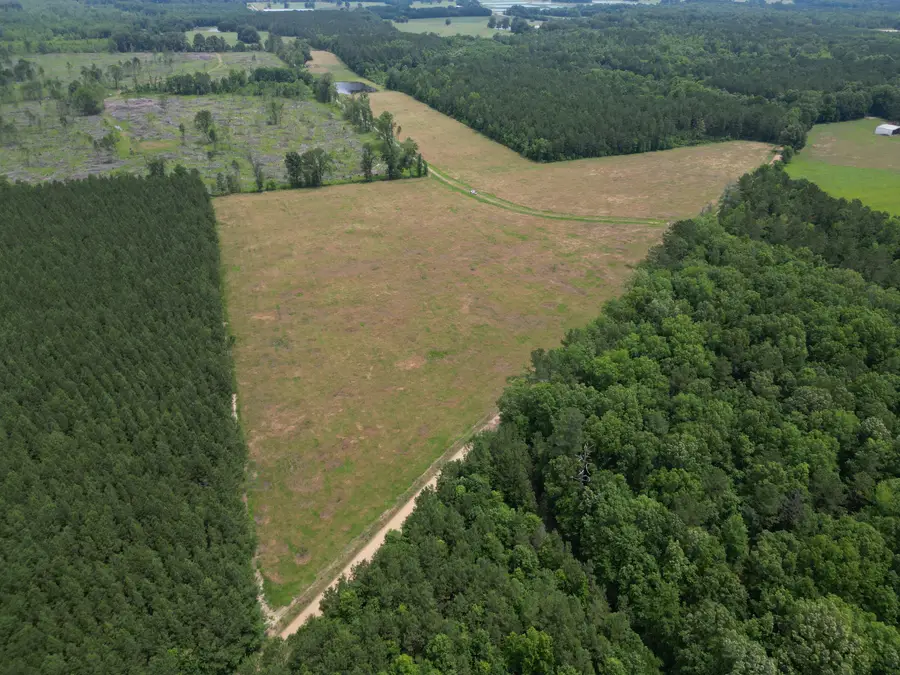 Honey Lake Rd, Macon, MS 39341 - #2