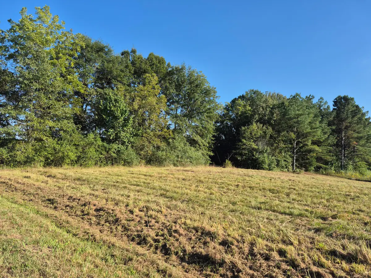 Coggin Ave, Nettleton, MS 38858 - #1