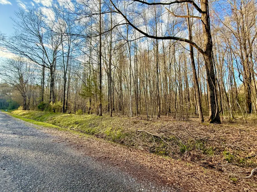 0 Fiesta Drive, Columbus, MS 39702 - #3