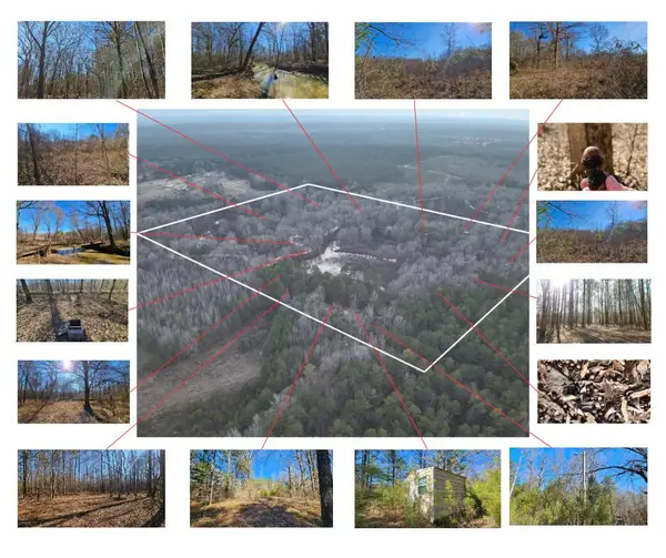 463 Mcgee, Starkville, MS 39759