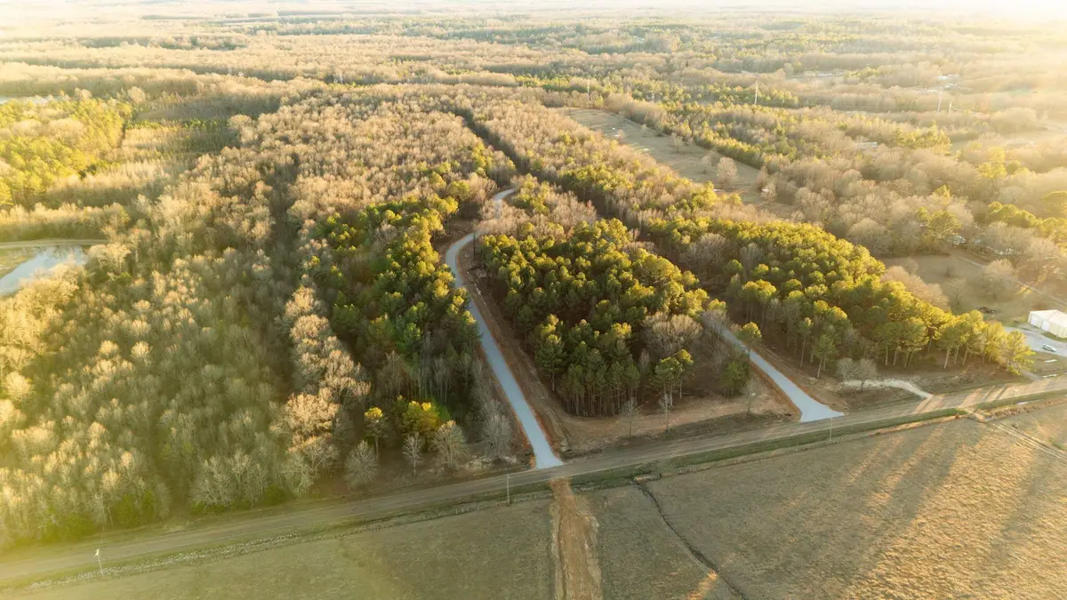 Lot 12 Old Waverly Rd, West Point, MS 39773 - #1