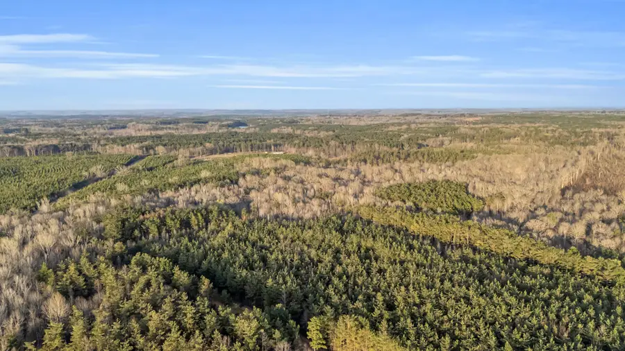 1190 Buster Vaughn, Eupora, MS 39744 - #2