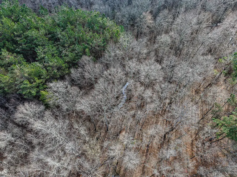 0 Goodfood Rd, Pontotoc, MS 38863 - #3