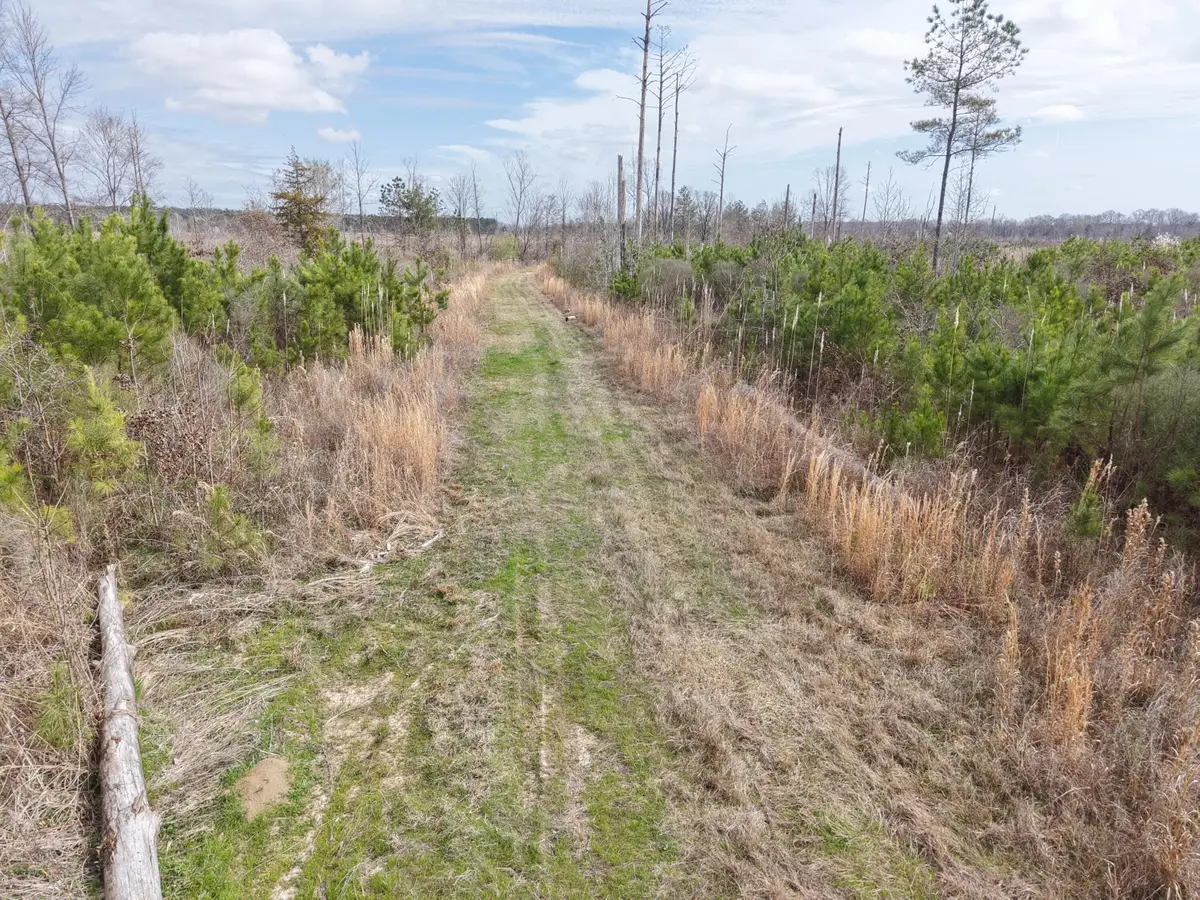 002 Reed Rd., Starkville, MS 39759 - #1