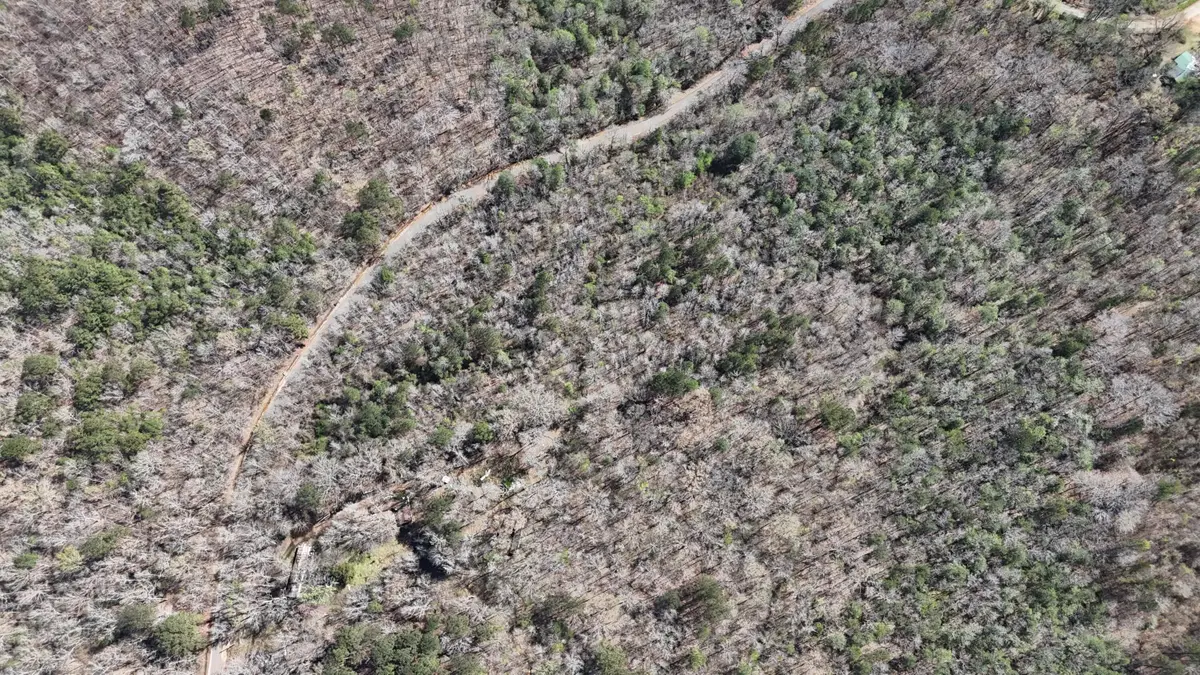 Pace Rd, Hamilton, MS 39746 - #1