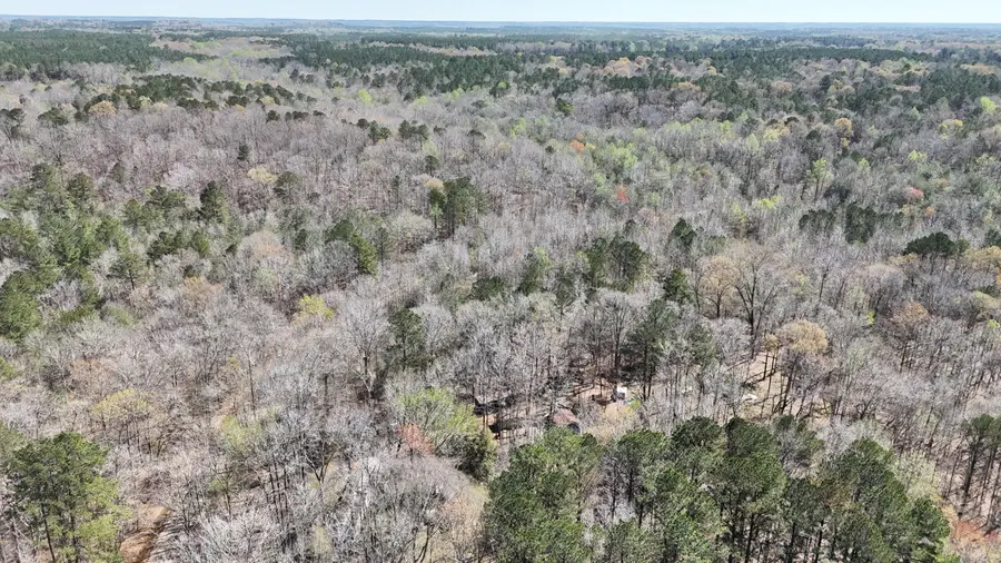 Pace Rd, Hamilton, MS 39746 - #2