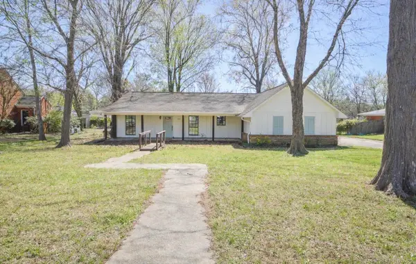 100 Mangrove Palm, Starkville, MS 39759