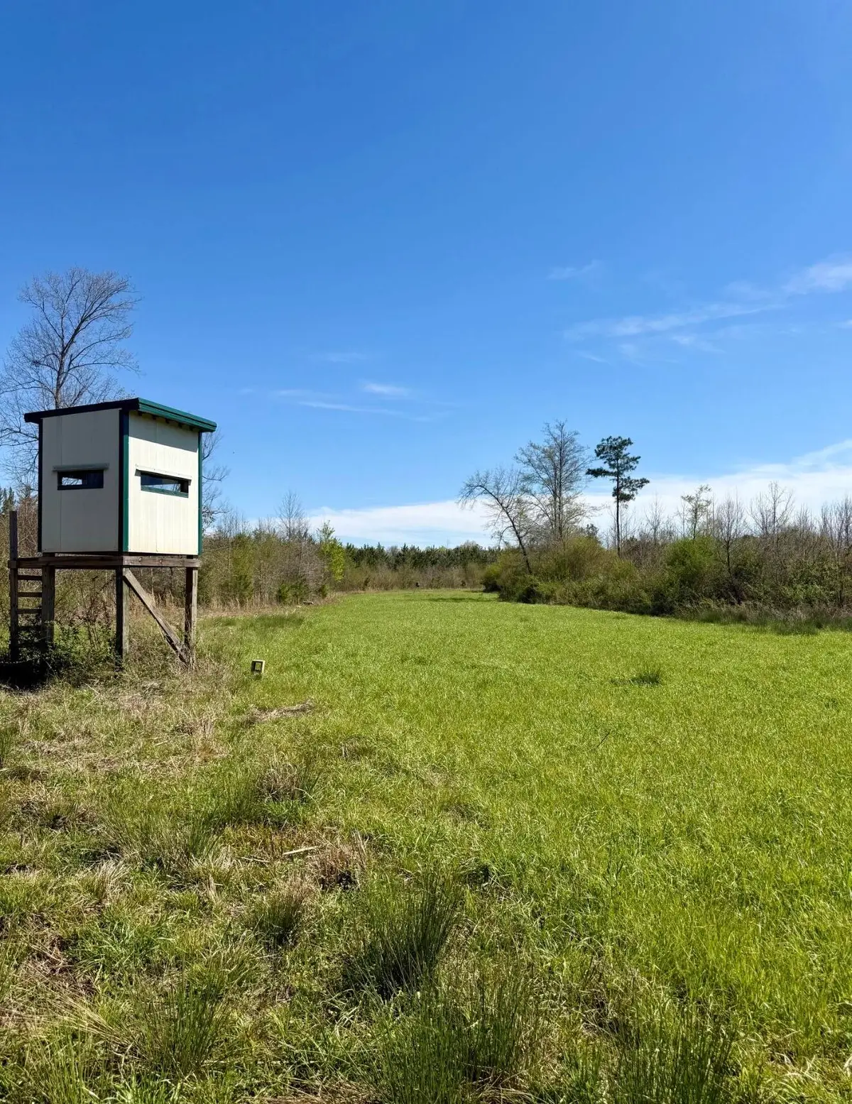 Crossroads Church Road, Mathiston, MS 39752 - #1