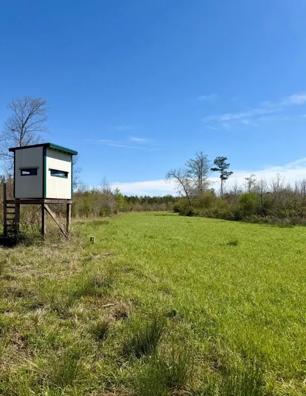 Crossroads Church Road, Mathiston, MS 39752