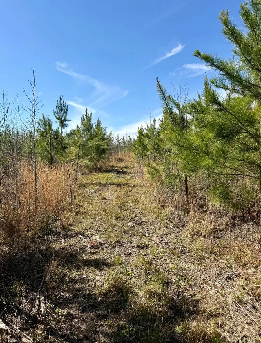 Crossroads Church Road, Mathiston, MS 39752 - #3