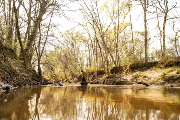 000 Mississippi 9, Eupora, MS 39744