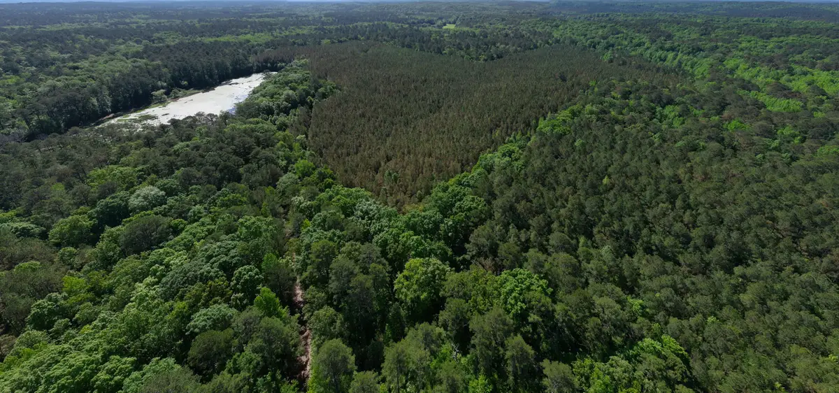 Fs 968.2, Ackerman, MS 39735 - #1