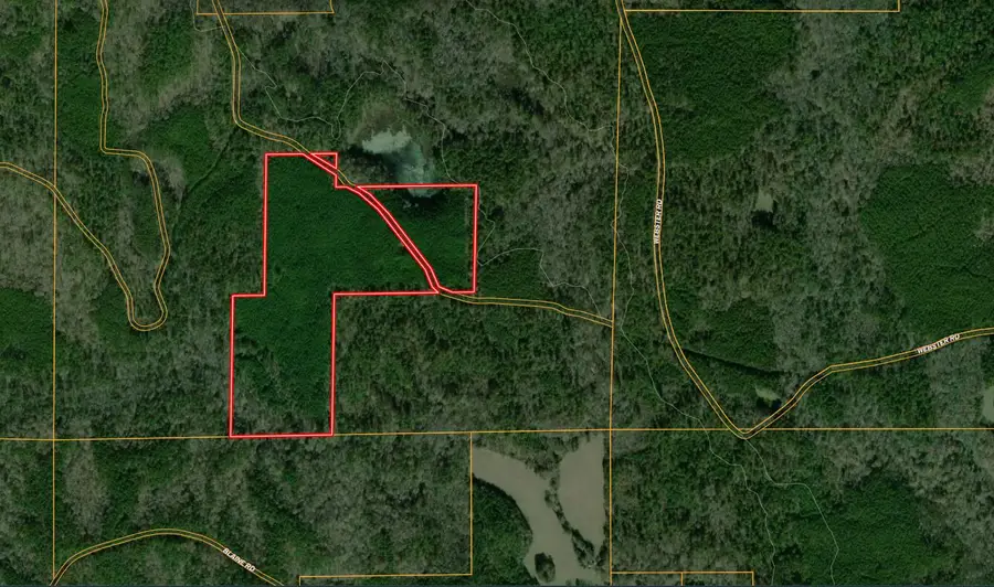 Fs 968.2, Ackerman, MS 39735 - #2