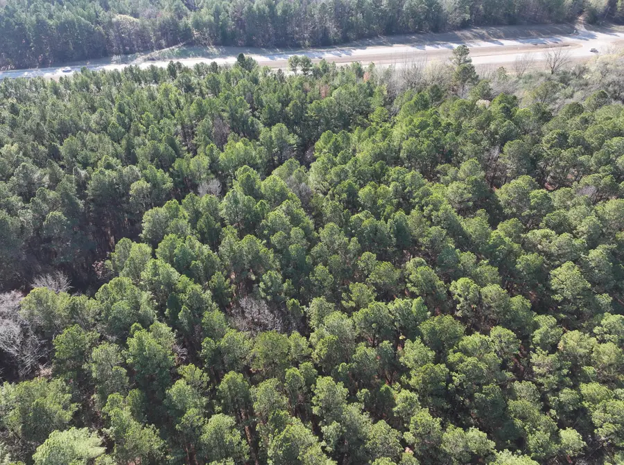 Highway 82, Ethelsville, AL 35461 - #2