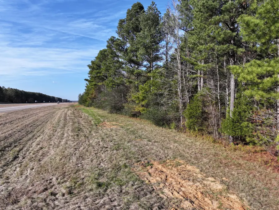 Highway 82, Ethelsville, AL 35461 - #3