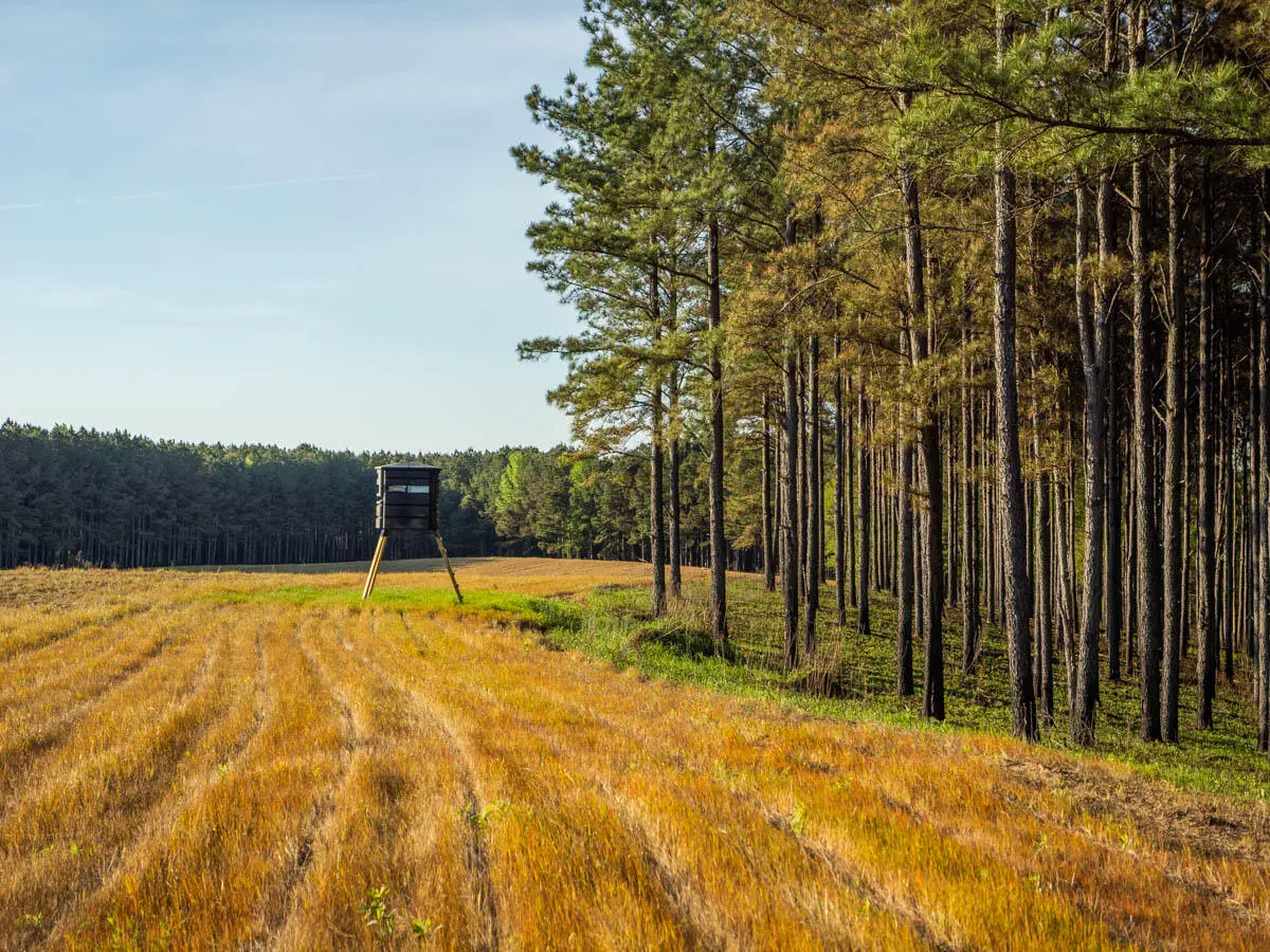 Weir-highpoint Rd., Weir, MS 39772 - #1