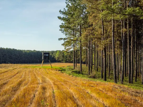 Weir-highpoint Rd., Weir, MS 39772