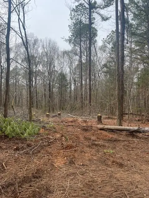 Wiley, Columbus, MS 39740 - #3