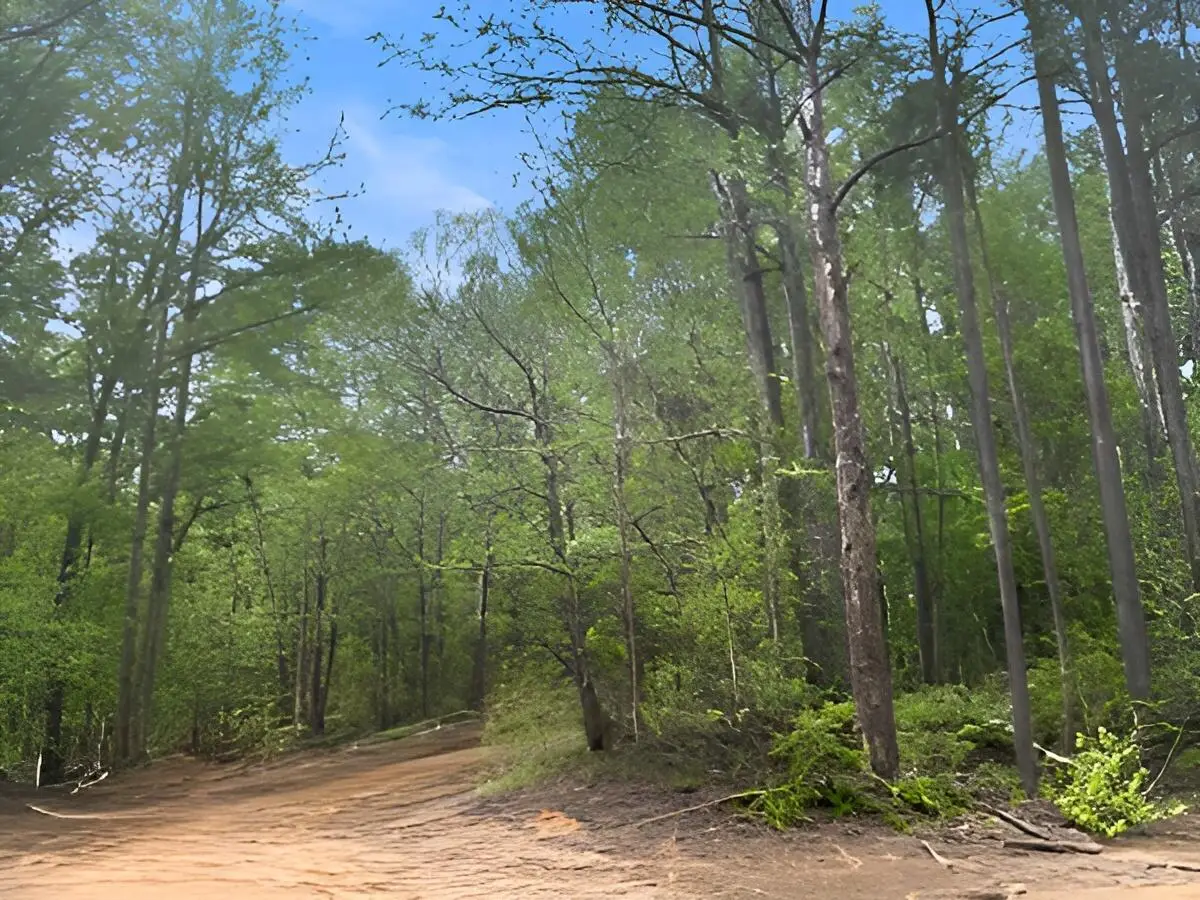 2077 Bostic, Gordo, AL 35466 - #1