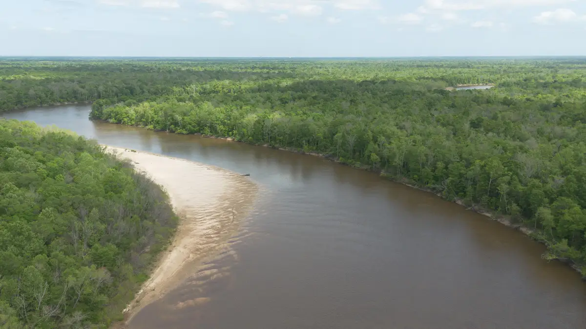 None, Pearl River, MS 70452 - #1