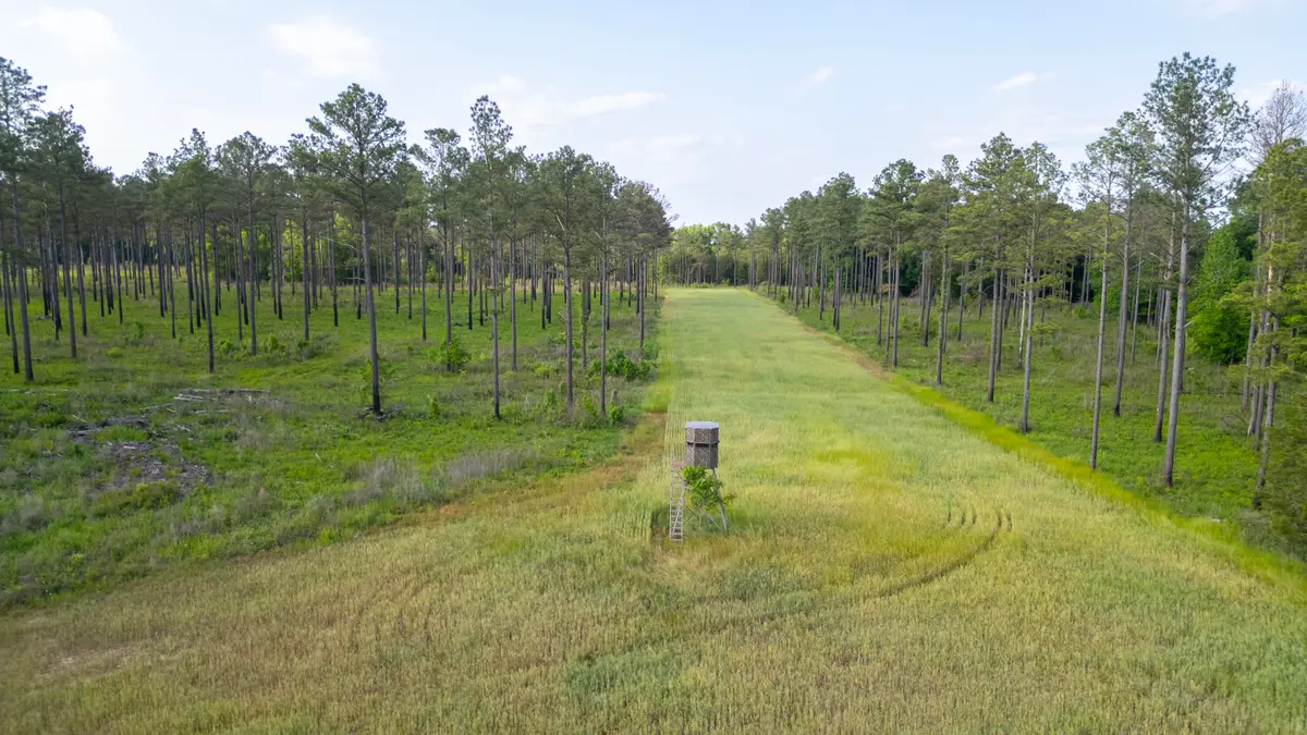 Rice, Crawford, MS 39743 - #1