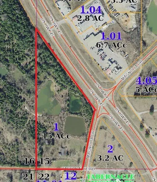 Us Hwy 45 & Magnolia Drive, Macon, MS 39341 - #1
