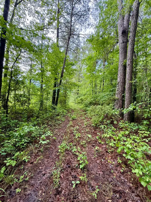 Bodka Valley, Scooba, MS 39358