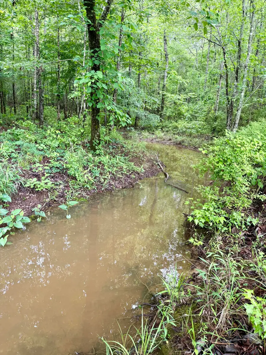 Bodka Valley, Scooba, MS 39358 - #3