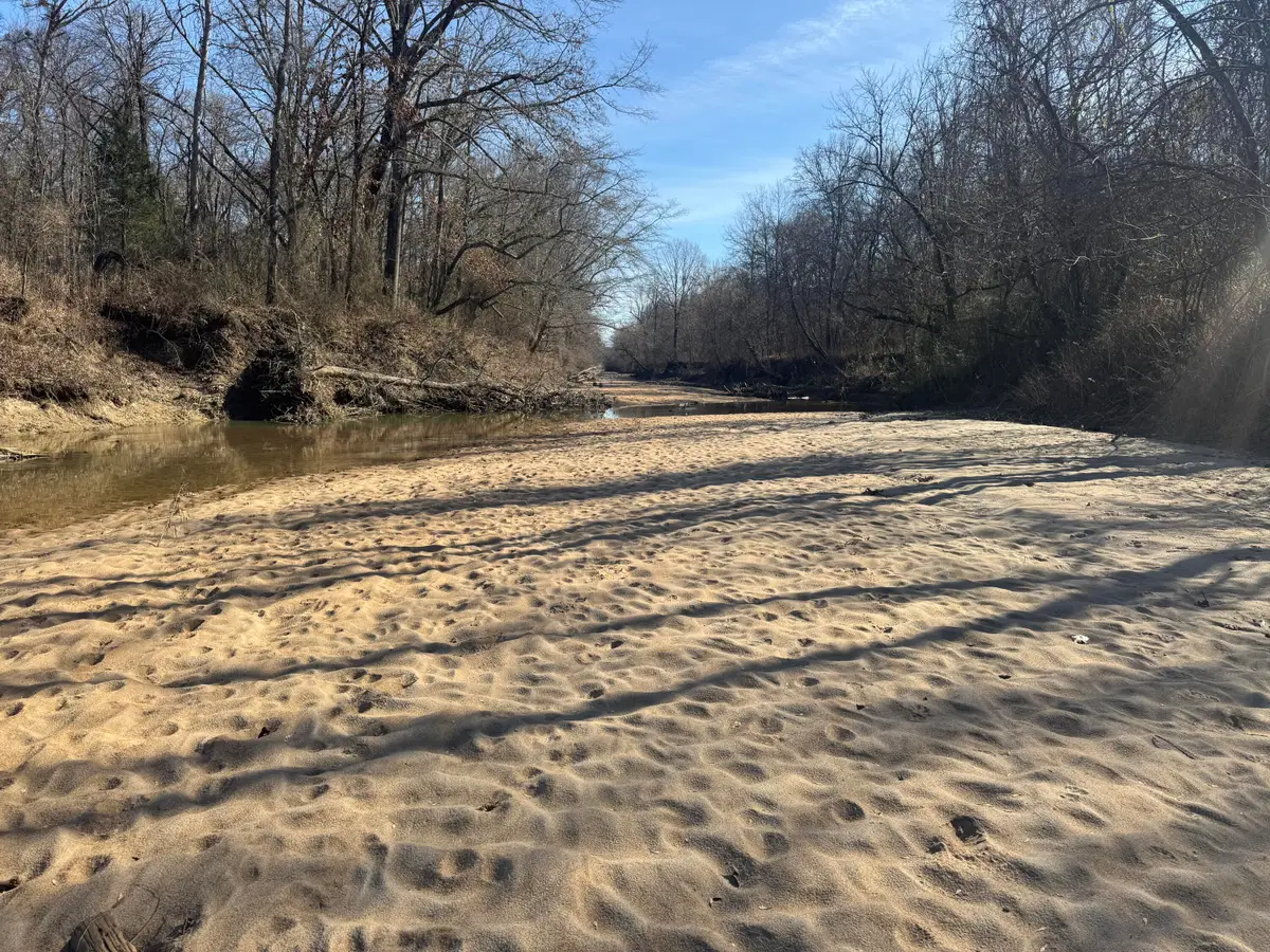 Happy Hollow, Woodland, MS 39776 - #1