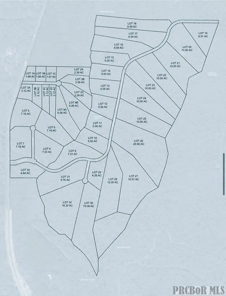 Lot 13, Picayune, MS 39466 - Image #3