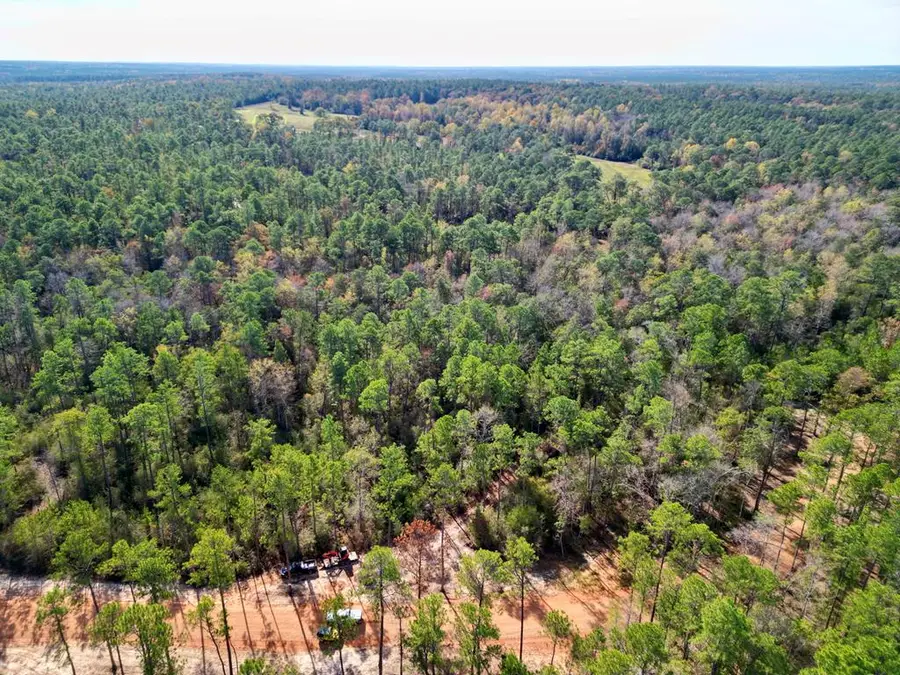 Lot 10 Ricochet Ridge, Poplarville, MS 39470 - Image #2