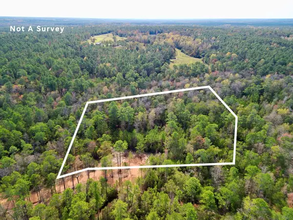 Lot 11 Ricochet Ridge, Poplarville, MS 39470