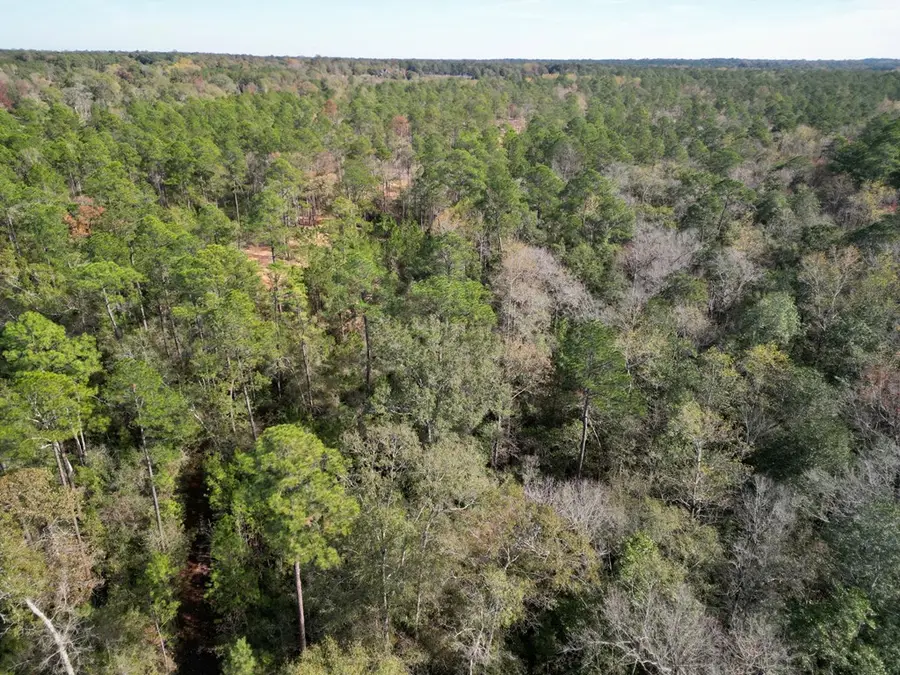 Lot 11 Ricochet Ridge, Poplarville, MS 39470 - Image #3