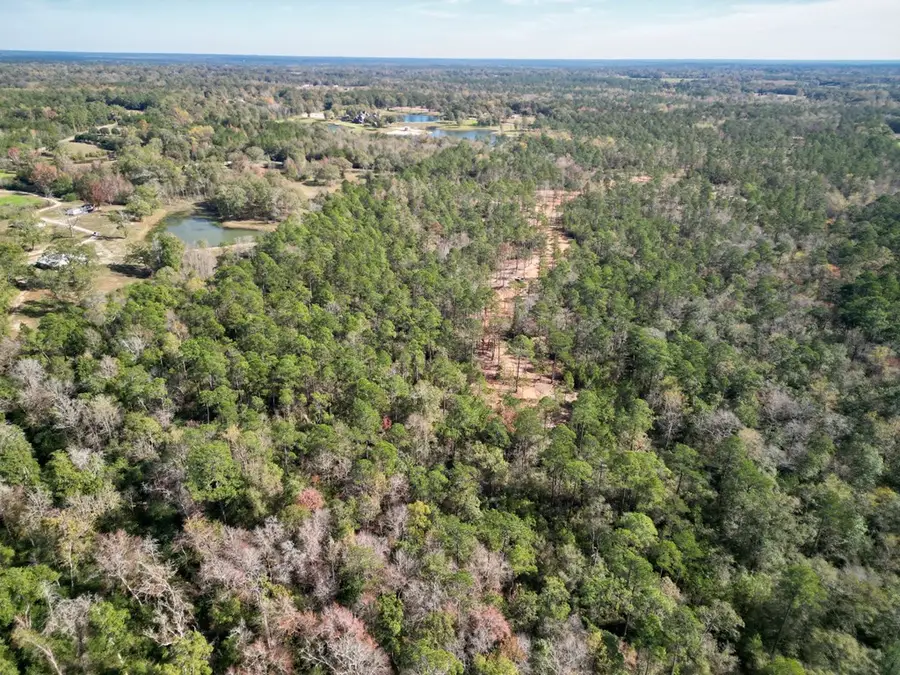 Lot 12 ricochet Ridge, Poplarville, MS 39470 - Image #2