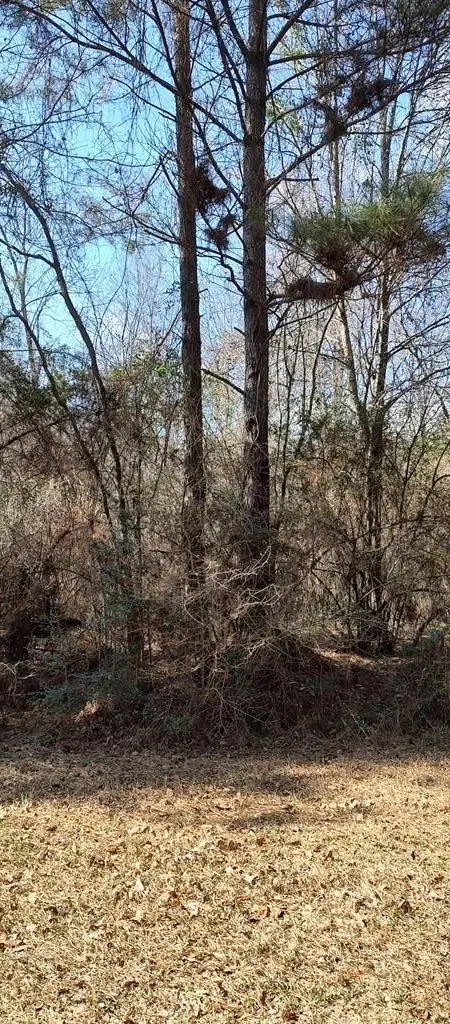 NHN Pecan Drive, Lumberton, MS 39455 - Image #2