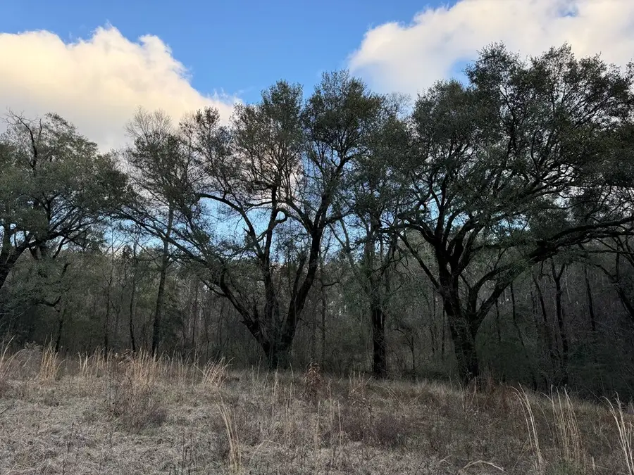 334 Baughman Rd, Poplarville, MS 39470 - Image #2