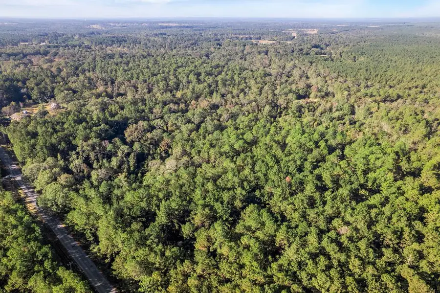 NHN Mill Creek Road, Poplarville, MS 39470 - Image #2