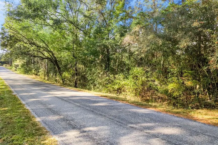 NHN Mill Creek Road, Poplarville, MS 39470 - Image #3