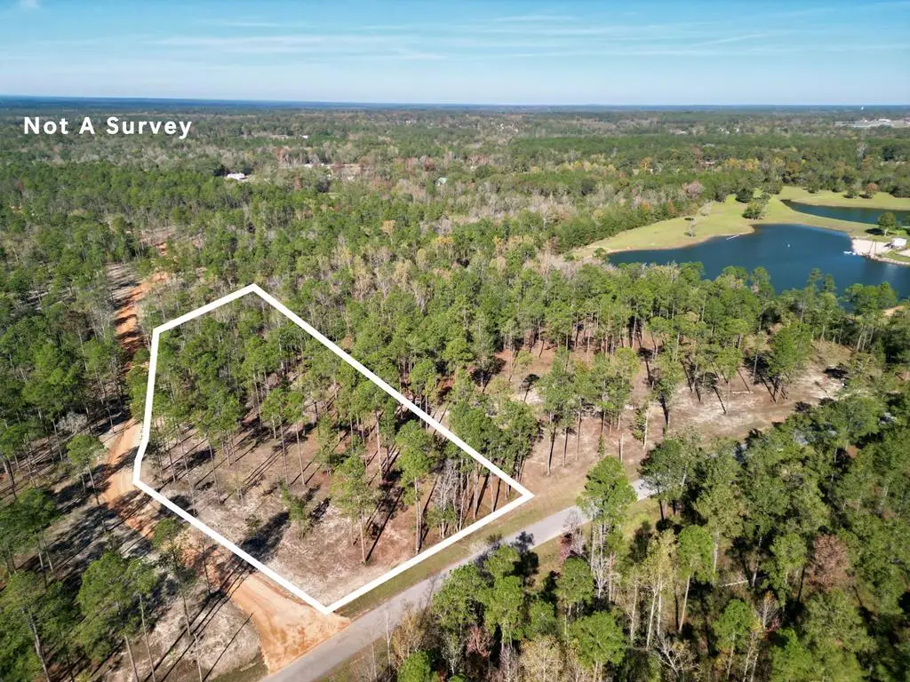 3.81 Cowart Holliday Road, Poplarville, MS 39470 - Image #1